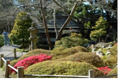 Tea Garden Walkway