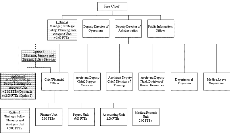 Alternative Organizational Structure for the Stratic Policy, Planning and Analysis Unit